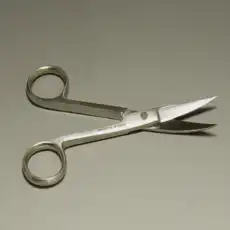 Operating Scissors / 실험실용 가위 S/S 커브