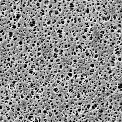 SARTORIUS MEMBRANE FILTERS / 싸토리우스 멤브레인 필터