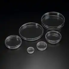 Cell Culture Dish