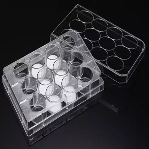 3D Cell Culture Plate