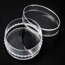 IVF Culture Dish