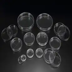 Petri Dish