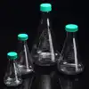 Erlenmeyer Flask