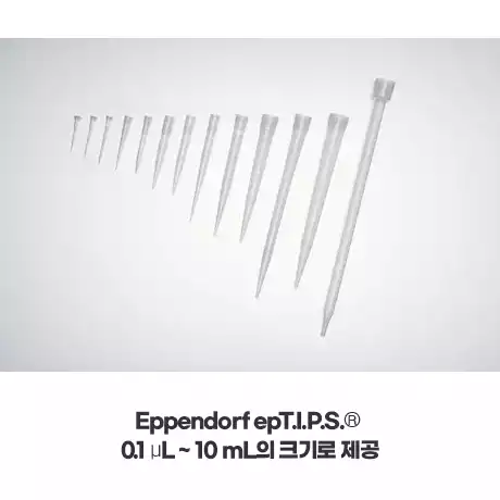 Eppendorf ep pipet tips / 에펜도르프ep피펫팁