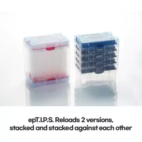 Eppendorf ep pipet tips / 에펜도르프ep피펫팁