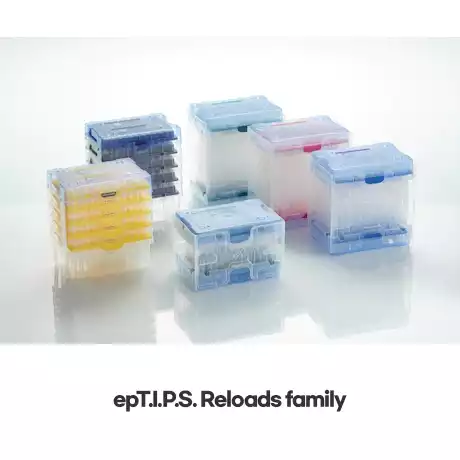 Eppendorf ep pipet tips / 에펜도르프ep피펫팁