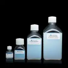 SISN300-100M, SISN500-100M, NanoXact Silica Nanospheres  300 nm, 10 mg/ mL in water/ 실리카 나노입자