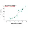 14-141ACL, ISRE Leeporter™ Luciferase Reporter-RAW264.7 Cell Line