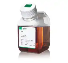 Gibco™ Fetal Bovine Serum, certified, United States