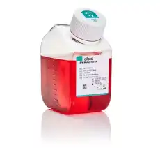 Gibco™ RPMI 1640 Medium (ATCC modification)